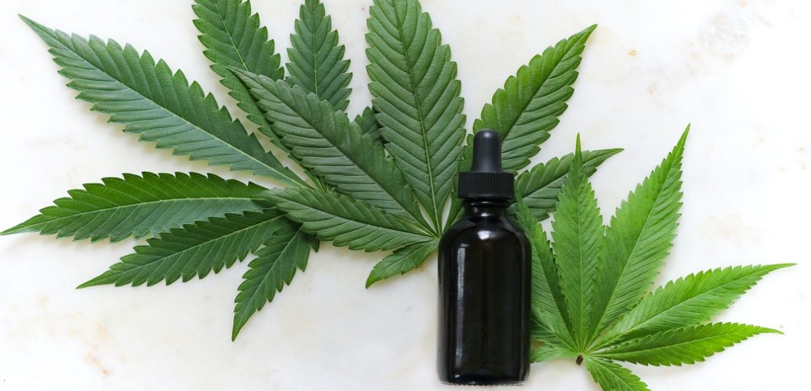 Governador de São Paulo regulamenta lei da cannabis medicinal no SUS estadual