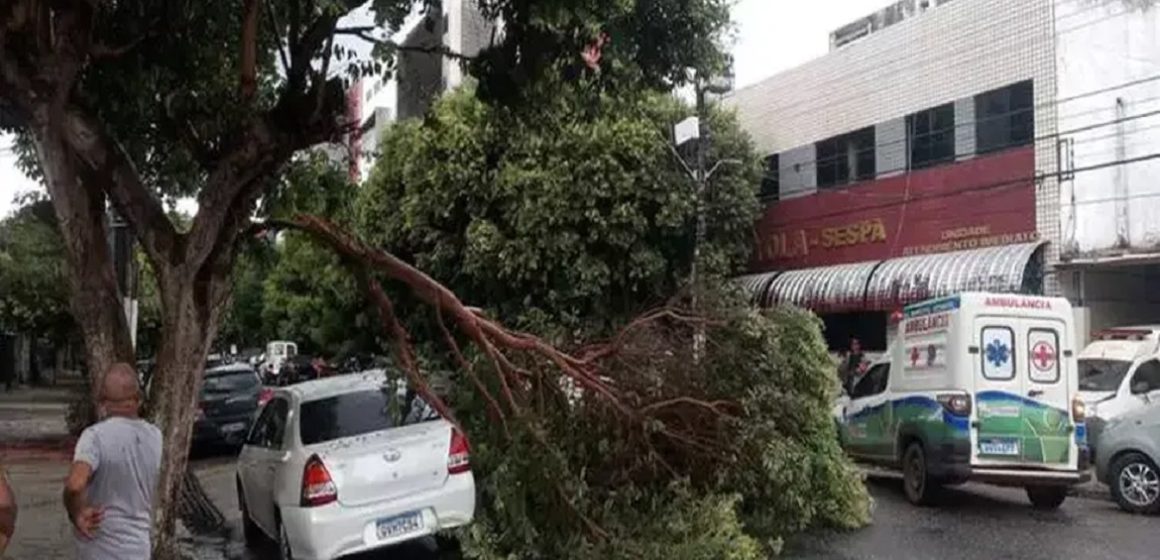 Chuva forte com ventania em Belém deixa mais de 20 mil pessoas sem energia