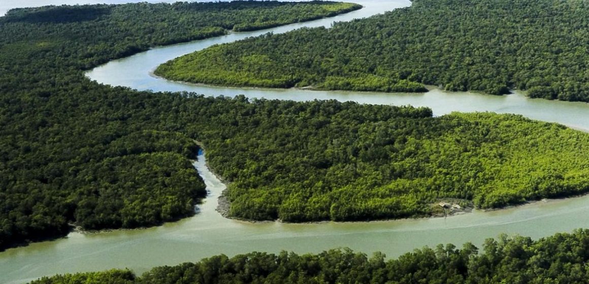 Amazon anuncia investimento no Pará