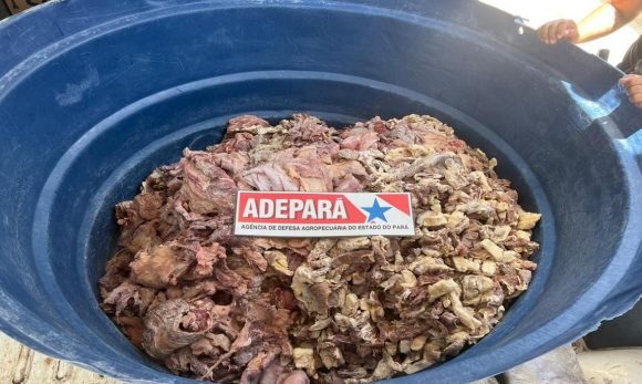 Mais de 280 toneladas de alimentos impróprios para o consumo foram retirados de circulação em 2023