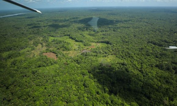 Pará lidera em 53% os índices de redução em alertas de desmatamento na Amazônia