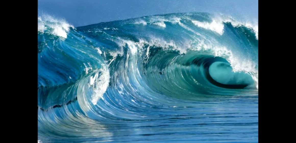 Reciclar plásticos do mar é preservar o ecossistema marinho