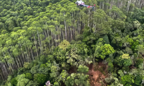 Helicóptero que caiu em Paraibuna (SP) bateu em vegetação antes da queda