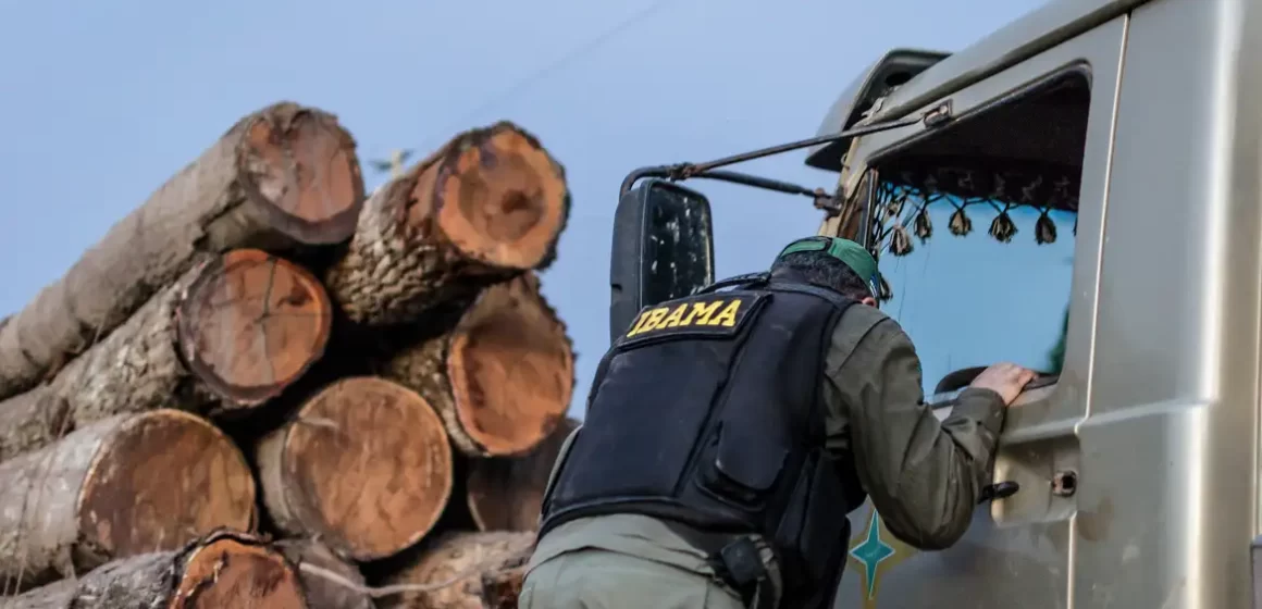 Servidores do Ibama prometem suspender fiscalização ambiental