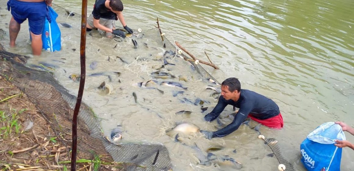 Emater planeja capacitar 2 mil pescadores artesanais no Pará