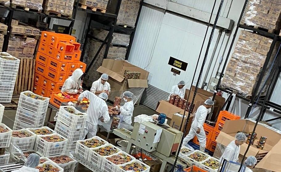 Queijos Regina aposta em crescimento de 20%