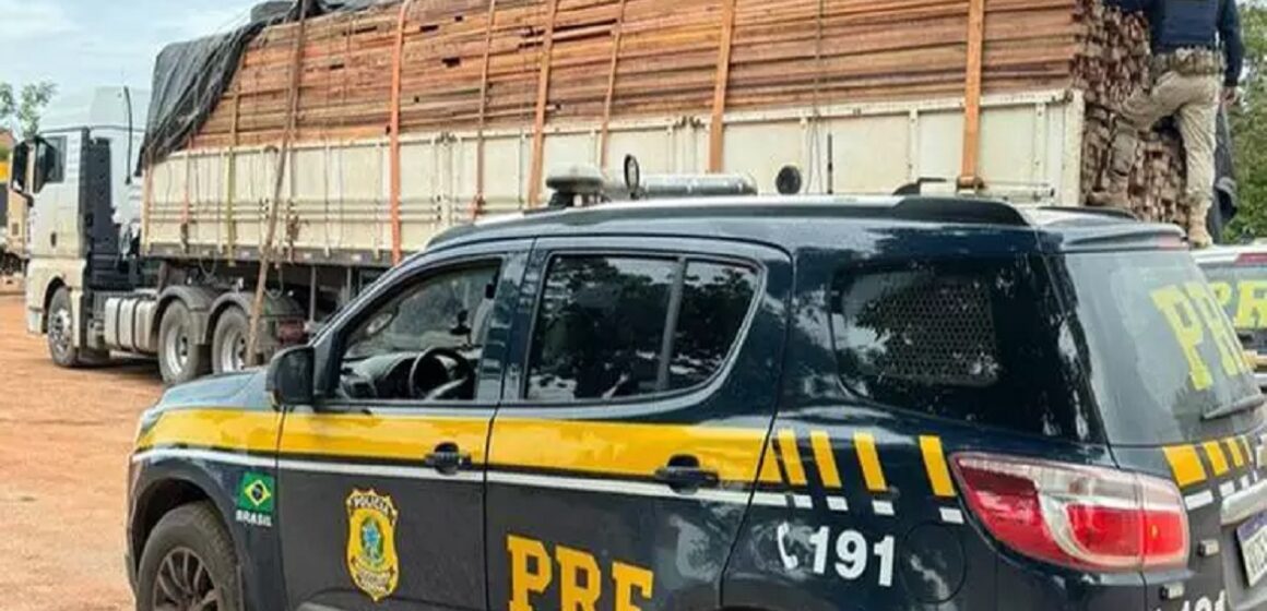 Em Sapucaia, PRF apreende 62 metros cúbicos de madeira ilegal