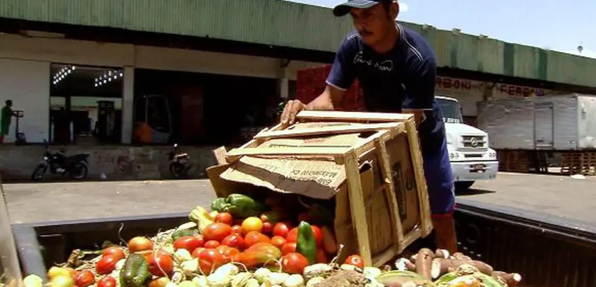 Pesquisa traz dicas sobre como reduzir desperdício de alimentos