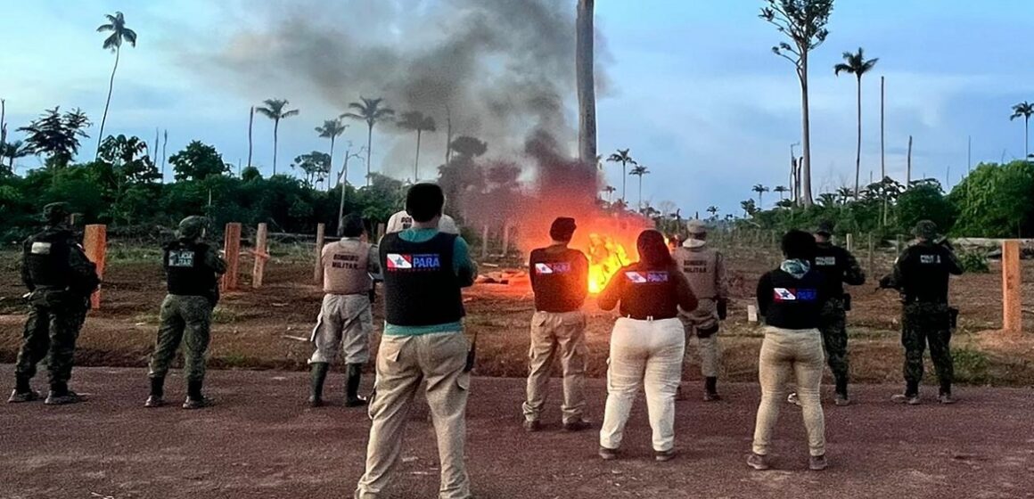 Em São Félix do Xingu, ação ilegal em área destinada à restauração florestal é desarticulada