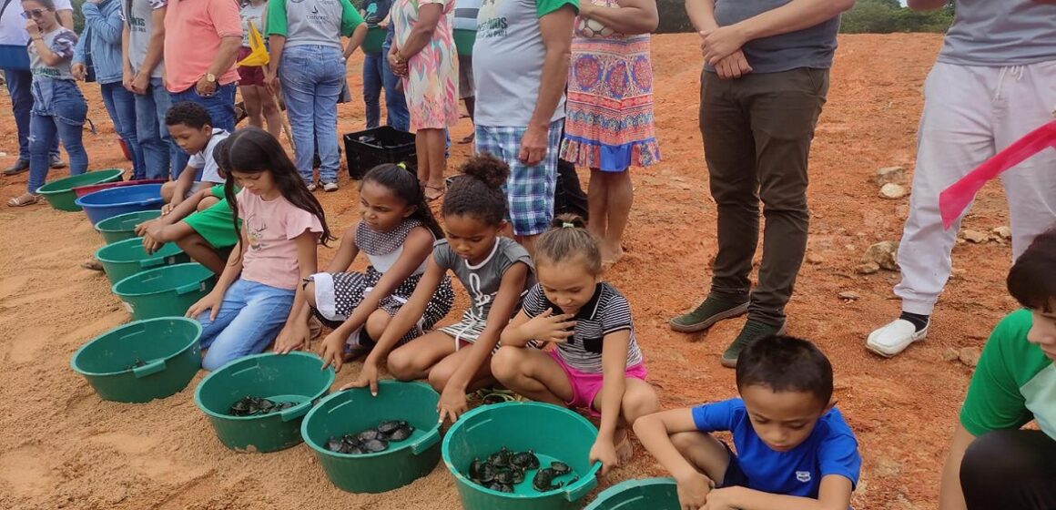 Quase 5 mil quelônios são soltos no Lago de Tucuruí