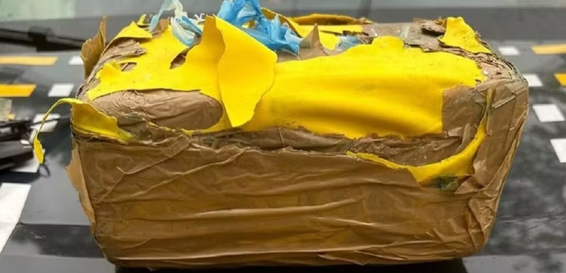 Em Altamira, polícia flagra mulher viajando de ônibus com 2 kg de ‘skunk’