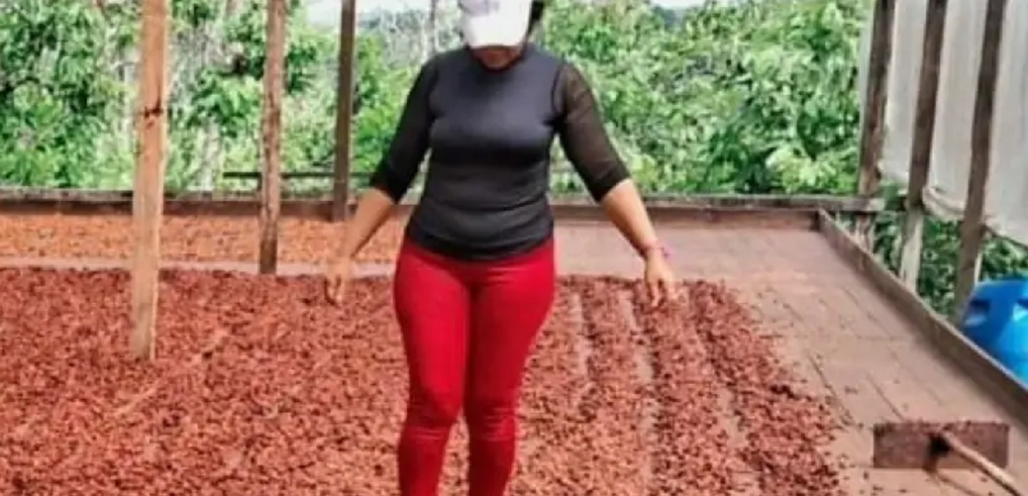 Cacau orgânico impulsiona Páscoa Sustentável no Pará