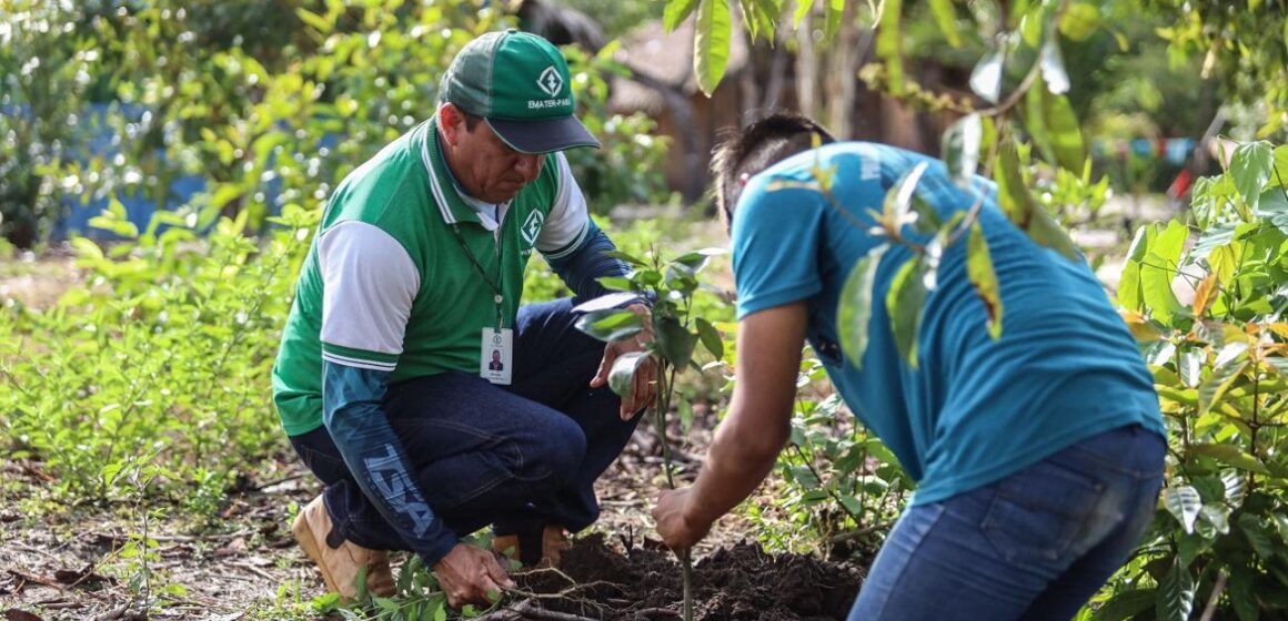 Estado investe no setor de produção rural e fortalece desenvolvimento econômico