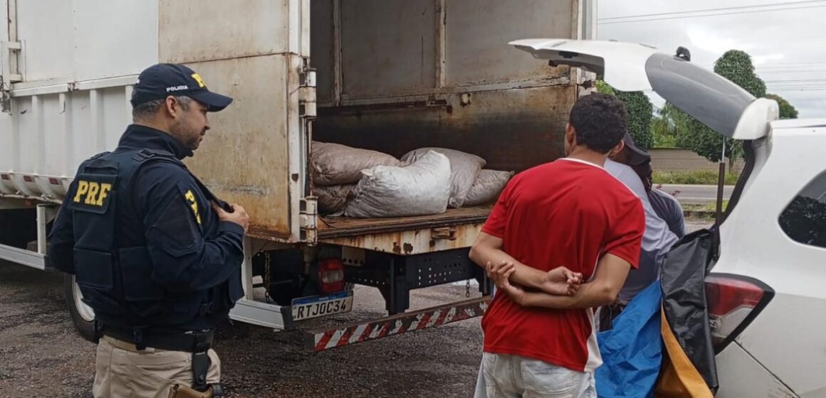 Carga de camarão imprópria ao consumo é apreendida em Ipixuna do Pará