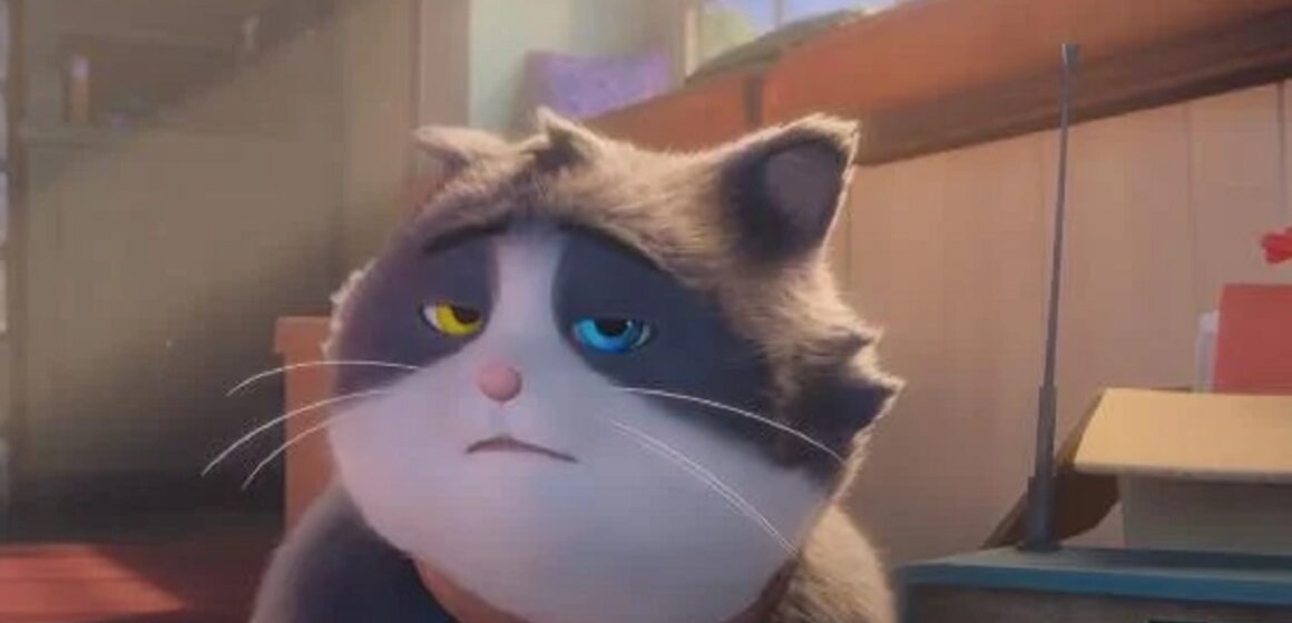 “Um gato de sorte” está em cartaz nos cinemas