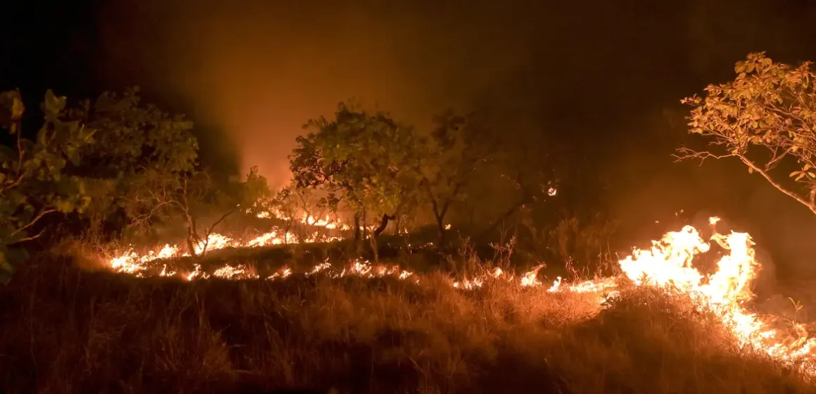 Amazônia: incêndio em área de floresta madura cresceu 152% em 2023
