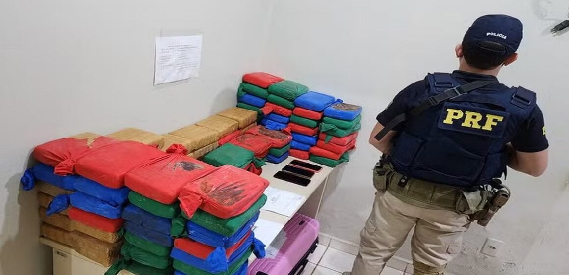 Em Vitória do Xingu, PRF apreende 101 kg de skunk