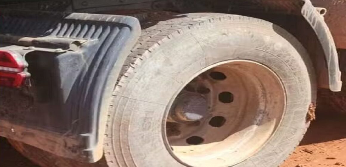 Polícia apreende em Uruará mais de 100 kg de skunk em pneus de caminhão