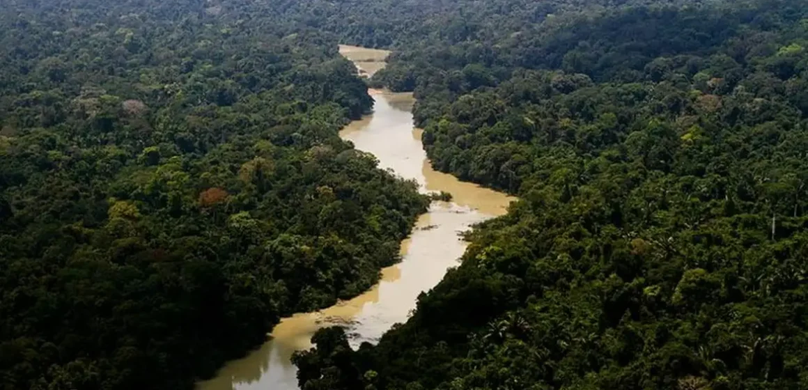 Brasil não trata meio ambiente com seriedade, diz promotor