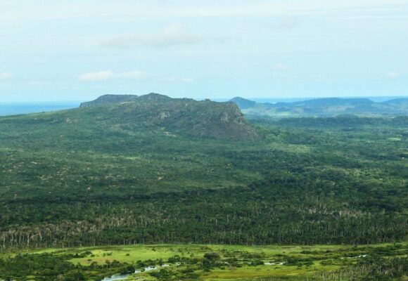 Mais 33 áreas do Pará são inclusas no Programa Bolsa Verde