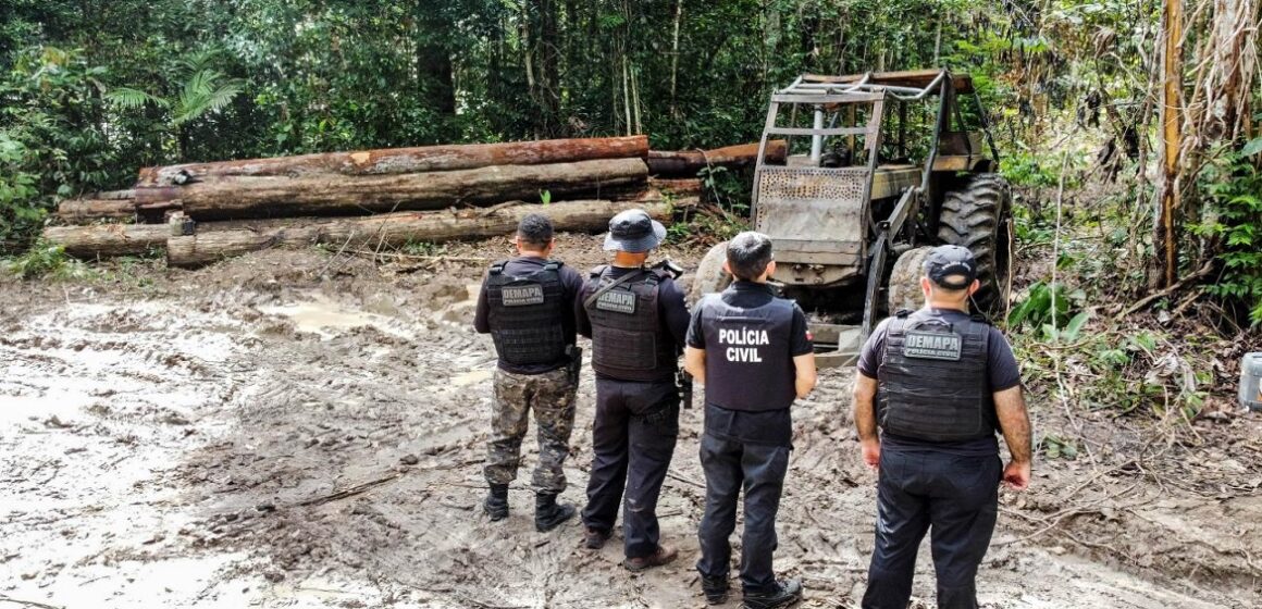 Em Tomé-Açú, operação descobre desmatamento ilegal e fecha madeireira
