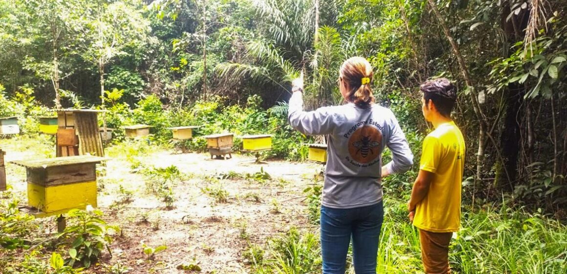 Adepará cadastra criadores de abelhas no município de Vigia no nordeste estadual