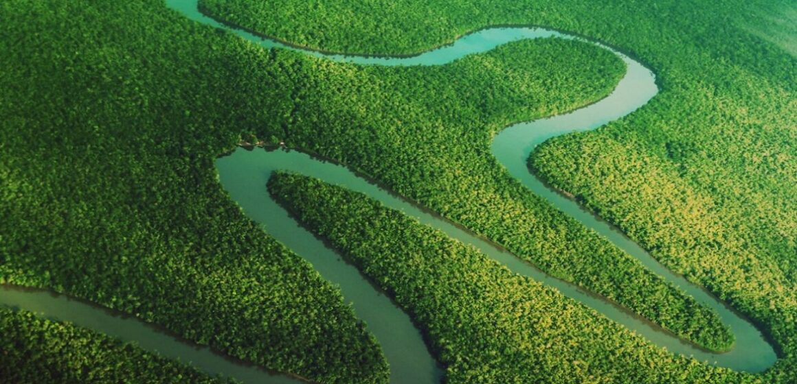 Imazon revela que o Pará tem a maior redução do desmatamento na Amazônia Legal entre janeiro e abril de 2024