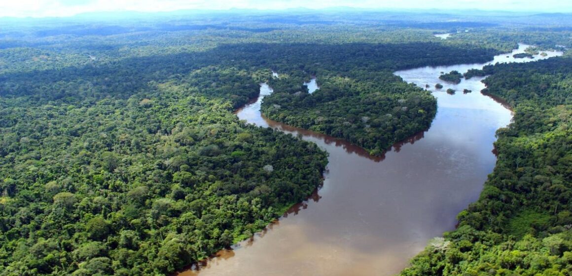Projetos na Amazônia receberão doação de US$ 21 milhões dos Estados Unidos