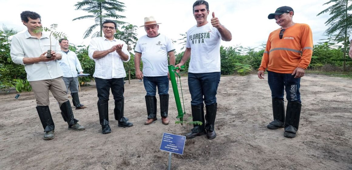 Em Mãe do Rio, Helder participa do plantio da muda de nº 3 milhões em fazenda de remoção de carbono
