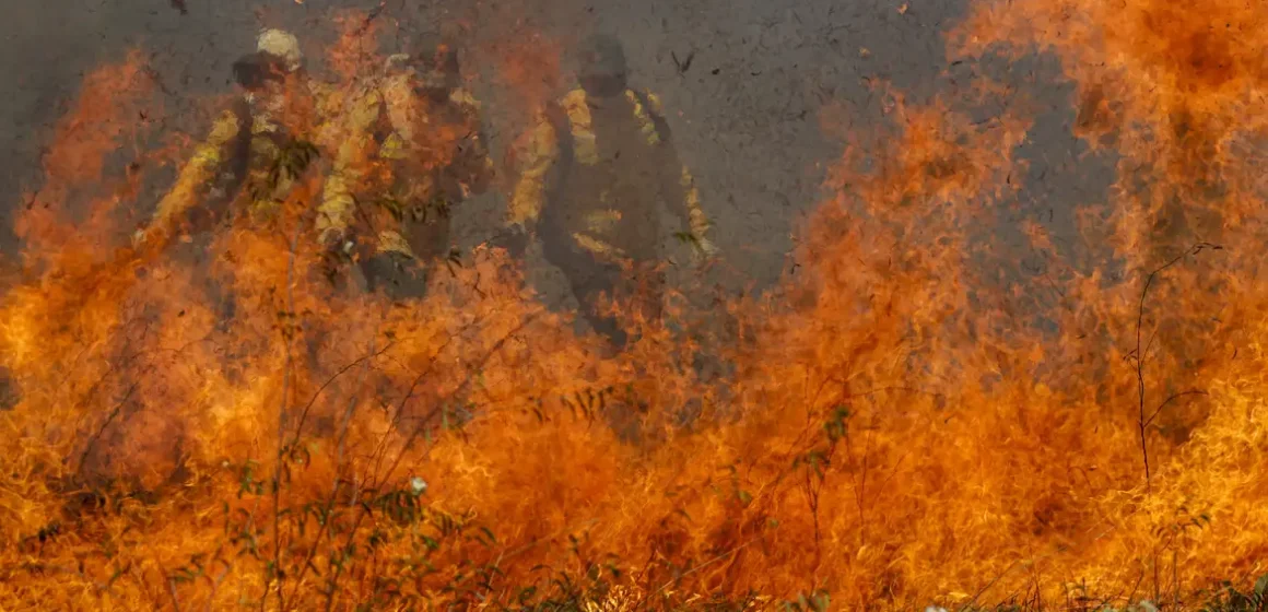 Pantanal acumula em 12 meses mais de 9 mil focos de incêndio