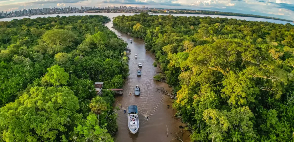 Temperatura nas florestas tropicais está aumentando, aponta estudo