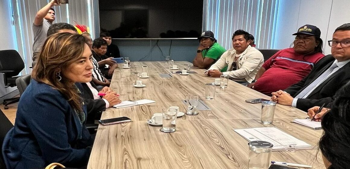 Dilvanda Faro participa de audiência com a Ministra dos Povos Indígenas