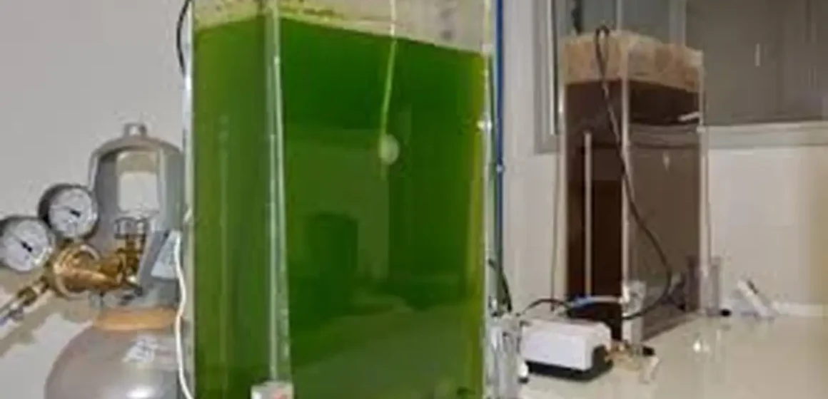 Selo amplia presença da agricultura familiar na produção de biodiesel
