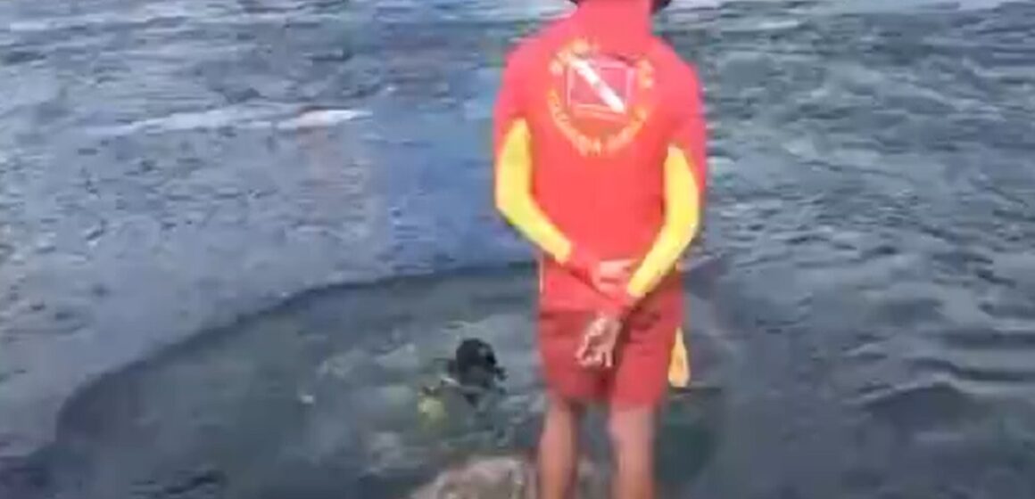 Bombeiros encontram em Altamira corpos de vítimas de naufrágio
