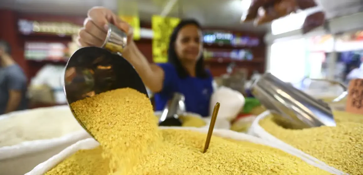 Em 2023, população brasileira ocupada passou dos 100 milhões