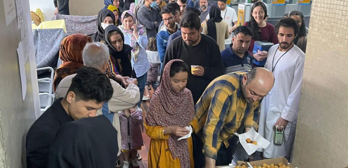 Número de refugiados cresce 8% e chega a 120 milhões em todo o mundo