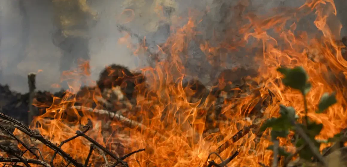 Quase 1/4 do território brasileiro pegou fogo nos últimos 40 anos