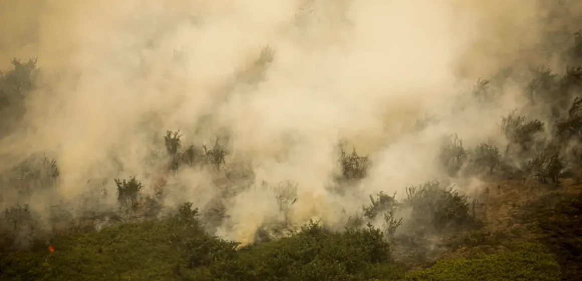 Governo vai liberar R$ 100 mi para combate a incêndios no Pantanal