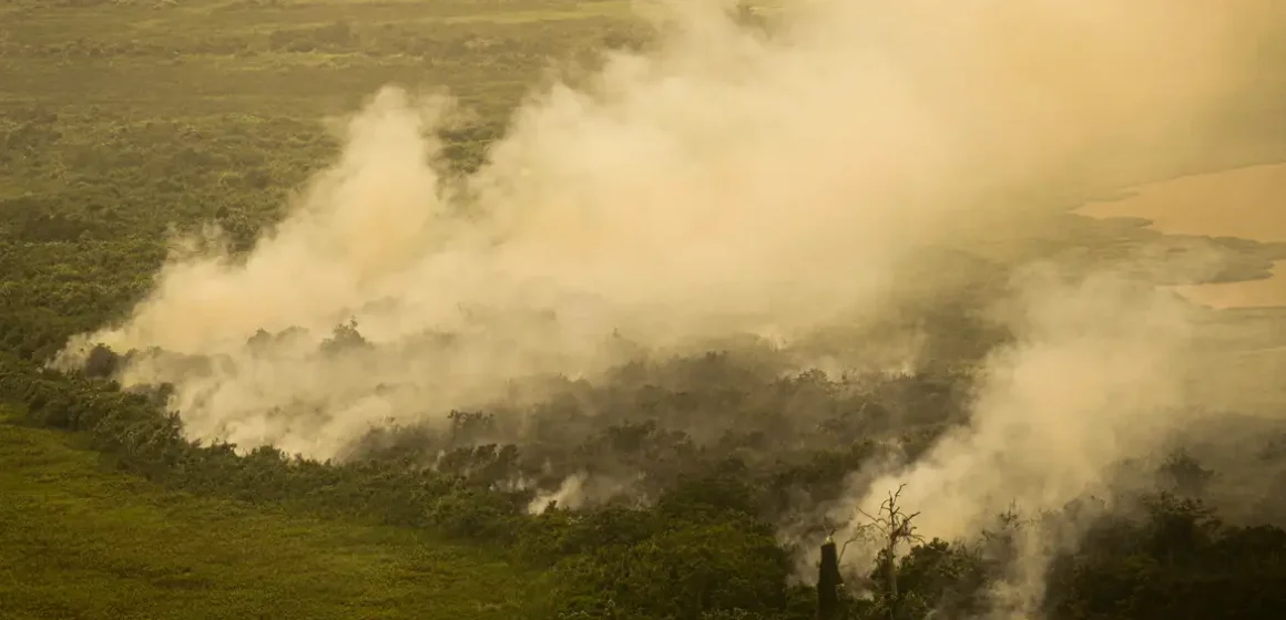 Com incêndios, Mato Grosso do Sul decreta situação de emergência