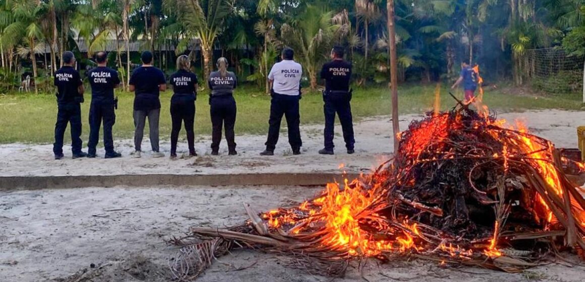 Polícia Civil apreende 5 toneladas de carnes de animais silvestres em Abaetetuba
