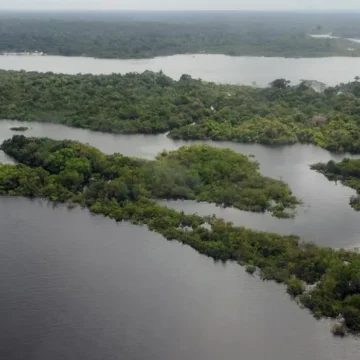 Cientistas alertam que a água da Amazônia enfrenta aquecimento generalizado