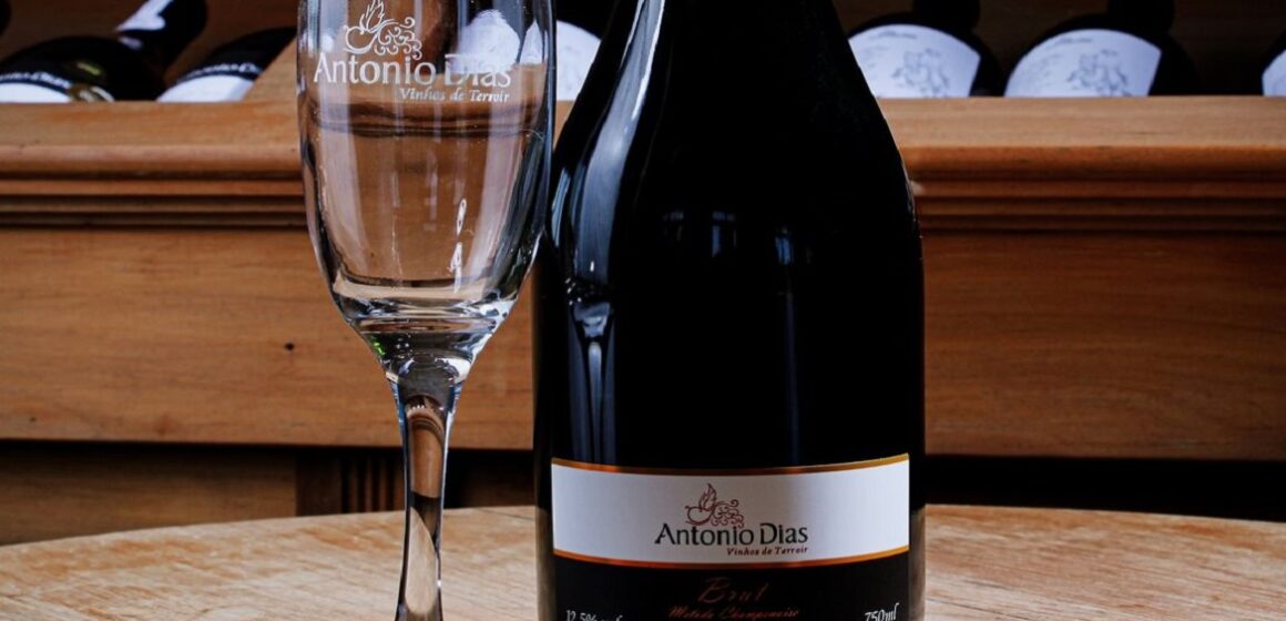 451634057_18049923520773108_2997711006659513140_n Confira quais são os 16 melhores vinhos brasileiros avaliados em concurso internacional