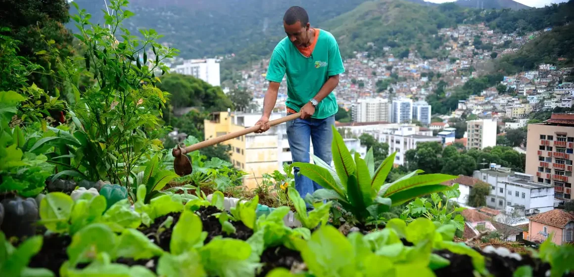 Nova lei pretende estimular a produção de alimentos nas cidades