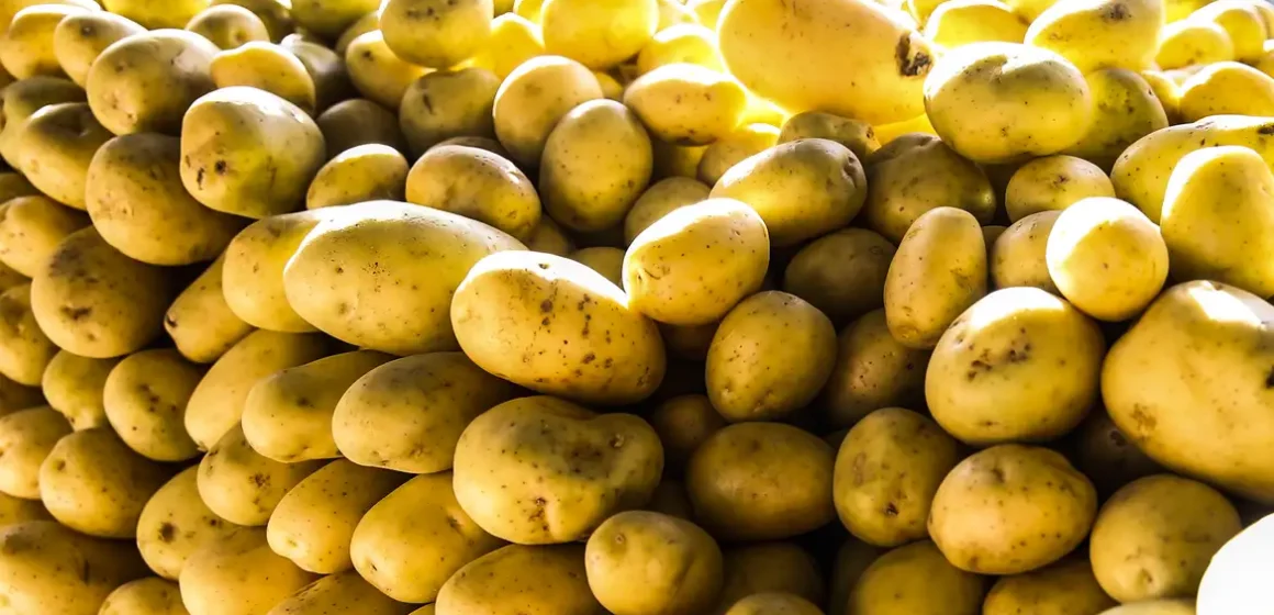 Batata-inglesa e leite longa vida puxam inflação em junho