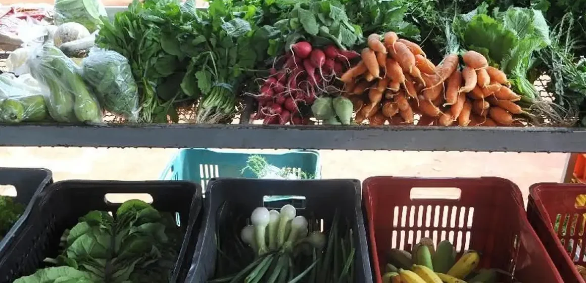 Preço de hortaliças, verduras e legumes aumentou no Pará no 1º semestre