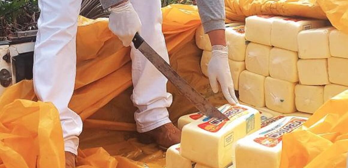 Em Ipixuna do Pará, 462 quilos de queijo clandestino são apreendidos