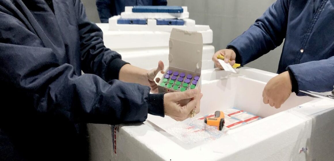Pará recebe nova remessa de vacinas contra Dengue