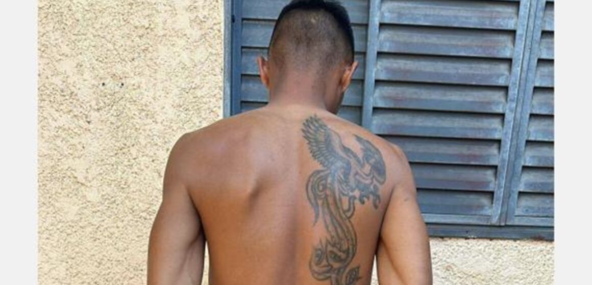 Com apoio da Polícia de São Paulo, PCPA prende investigado por roubar e matar jovem em Castanhal