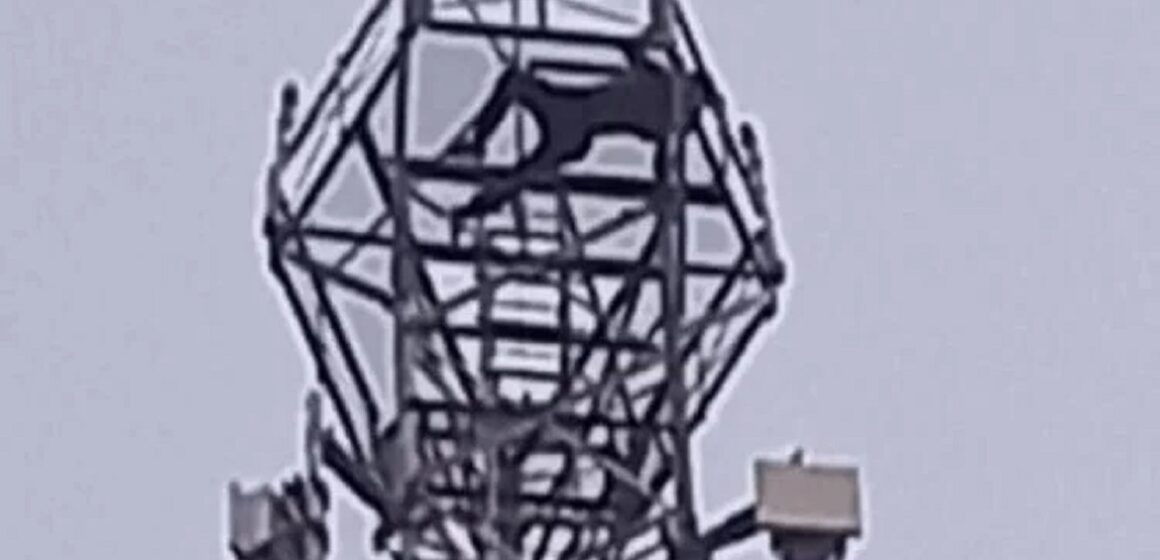 Bombeiros resgatam homem de cima de torre de telefonia em Belém