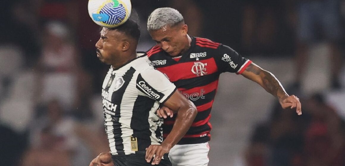 Botafogo goleia o Flamengo pelo Brasileirão Série A